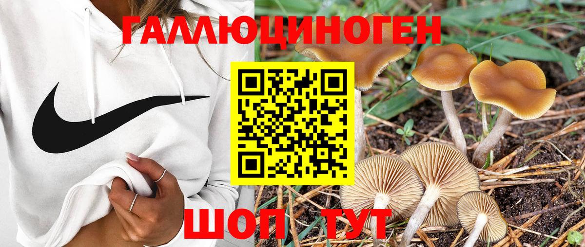 Бор  Псилоцибиновые грибы Cubensis  Галлюциногенные грибы ЛСД  Вход с VPN 