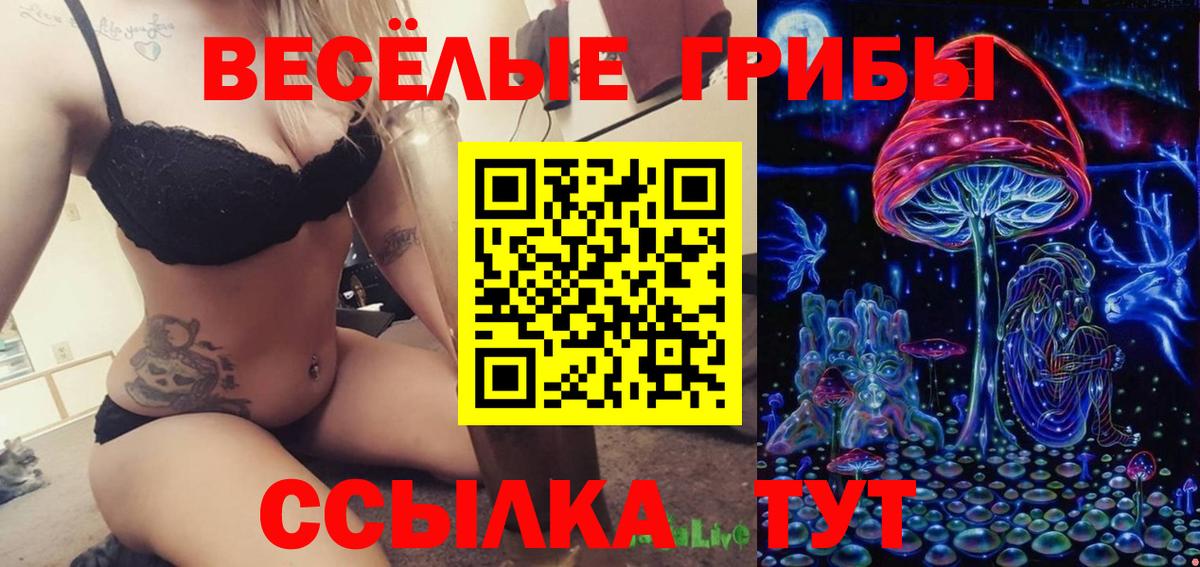 Псилоцибиновые грибы GOLDEN TEACHER Бор